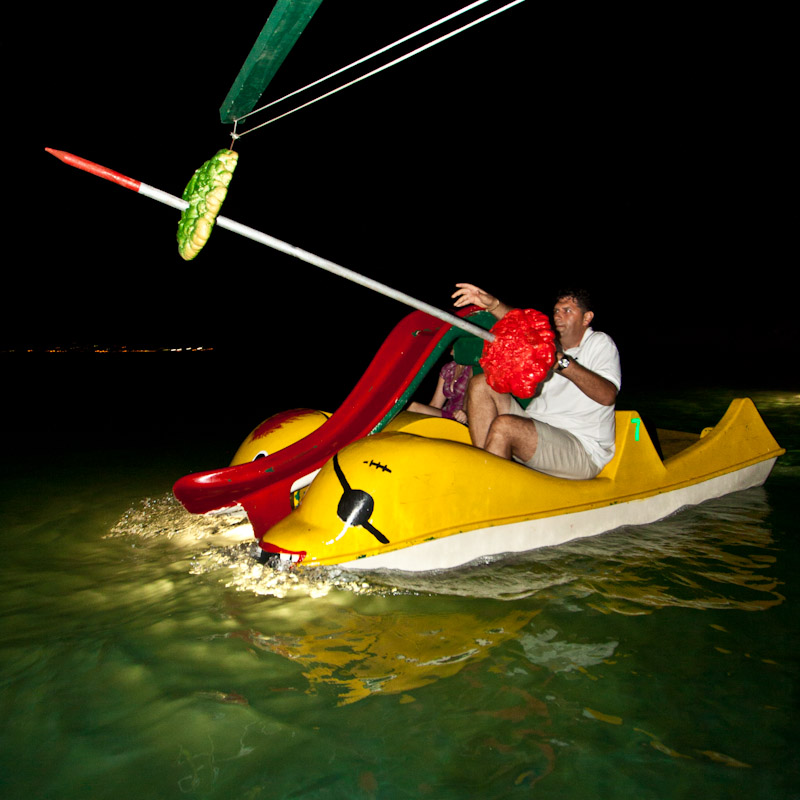 Biograd na Moru: 3. Morska alga, Foto: Franjo Jurić