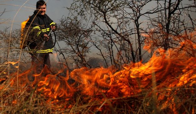 Požar na Bokanjcu(Foto:Jure Miskovic / CROPIX)