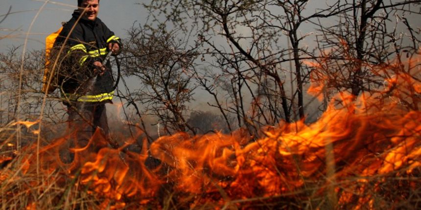 Požar na Bokanjcu(Foto:Jure Miskovic / CROPIX) Požar na Bokanjcu(Foto:Jure Miskovic / CROPIX)