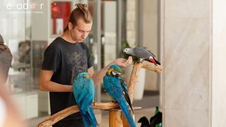 Đir po gradu, subotnja špica 29. lipnja 2019.