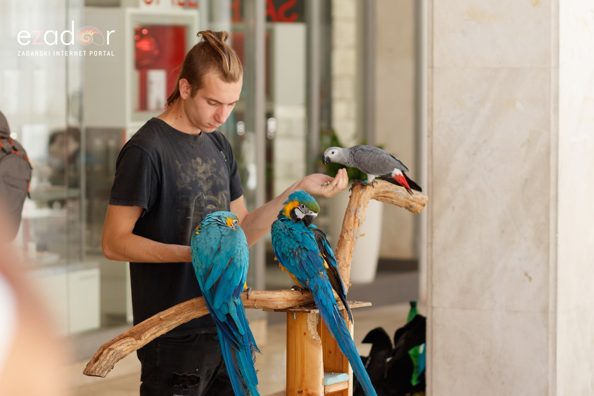 Đir po gradu, subotnja špica 29. lipnja 2019.