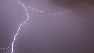 Image 1207449 (auto)