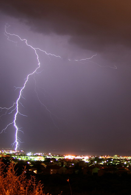 Image 1207449 (auto)