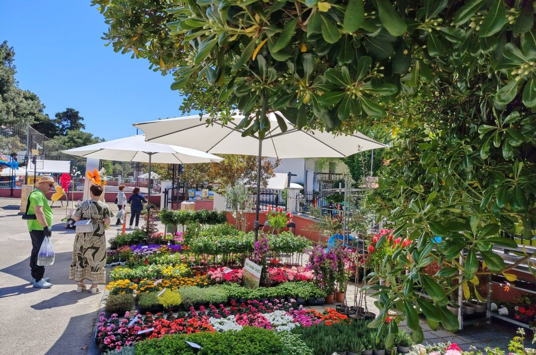 Festival cvijeća Zadarske županije Festival cvijeća Zadarske županije