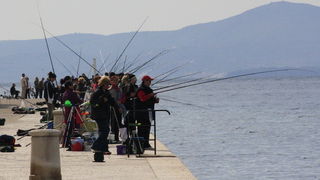 6. Kup Zadarske zupanije u sportskom ribolovu, Foto: Mladen Malik 6. Kup Zadarske zupanije u sportskom ribolovu, Foto: Mladen Malik