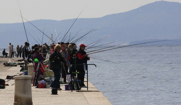 6. Kup Zadarske zupanije u sportskom ribolovu, Foto: Mladen Malik