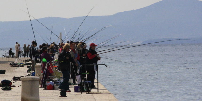 6. Kup Zadarske zupanije u sportskom ribolovu, Foto: Mladen Malik