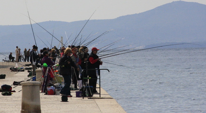 6. Kup Zadarske zupanije u sportskom ribolovu, Foto: Mladen Malik 6. Kup Zadarske zupanije u sportskom ribolovu, Foto: Mladen Malik