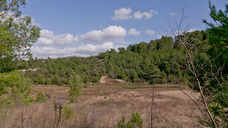 Ugodno prijepodne uz tok rijeke Karešnice i stare zapuštene mlinove, foto: Darko Belančić