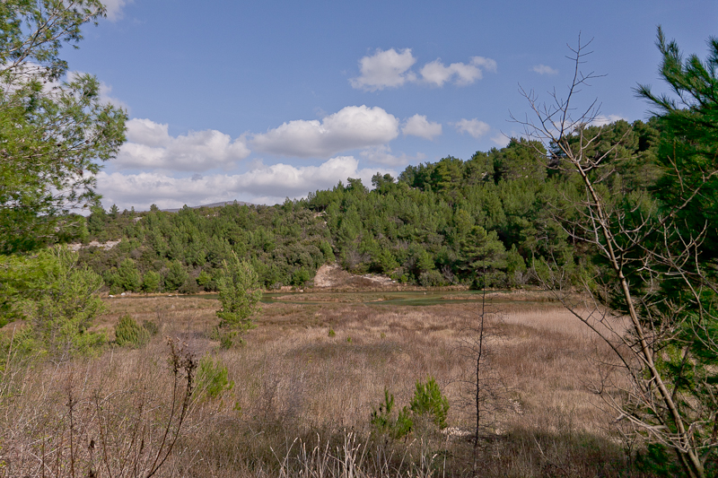Ugodno prijepodne uz tok rijeke Karešnice i stare zapuštene mlinove, foto: Darko Belančić