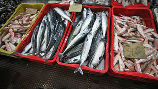 Đir po pešakariji 6. travnja 2012. (foto:Saša Čuka) Đir po pešakariji 6. travnja 2012. (foto:Saša Čuka)