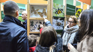 11. Noć muzeja u Zadru, foto-Iva Perinčić 11. Noć muzeja u Zadru, foto-Iva Perinčić