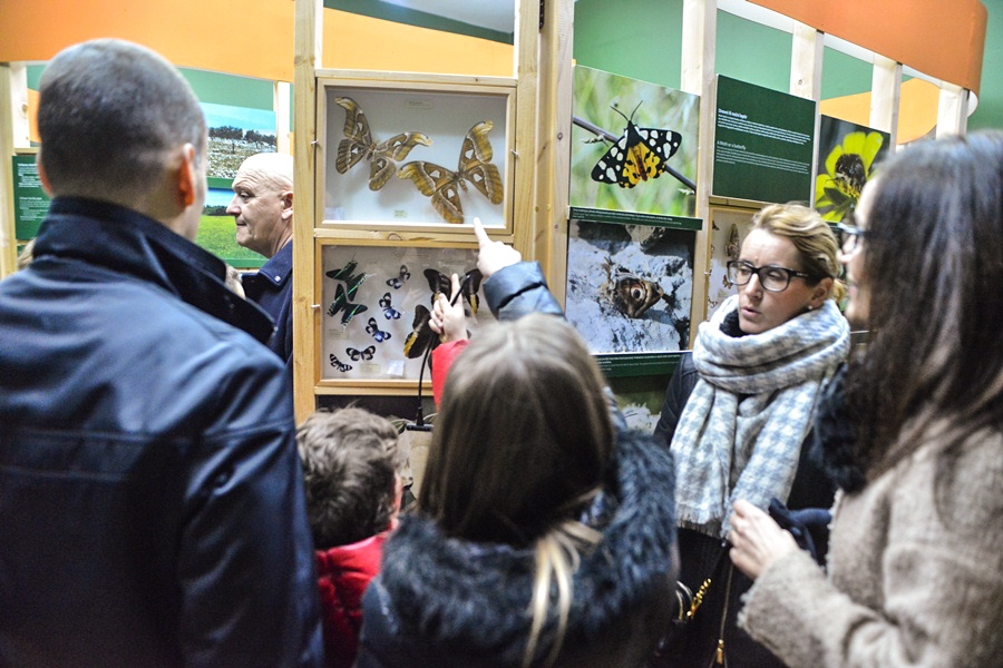 11. Noć muzeja u Zadru, foto-Iva Perinčić 11. Noć muzeja u Zadru, foto-Iva Perinčić