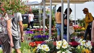 Pogledajte cvijetne fantazije na 53. Floraartu