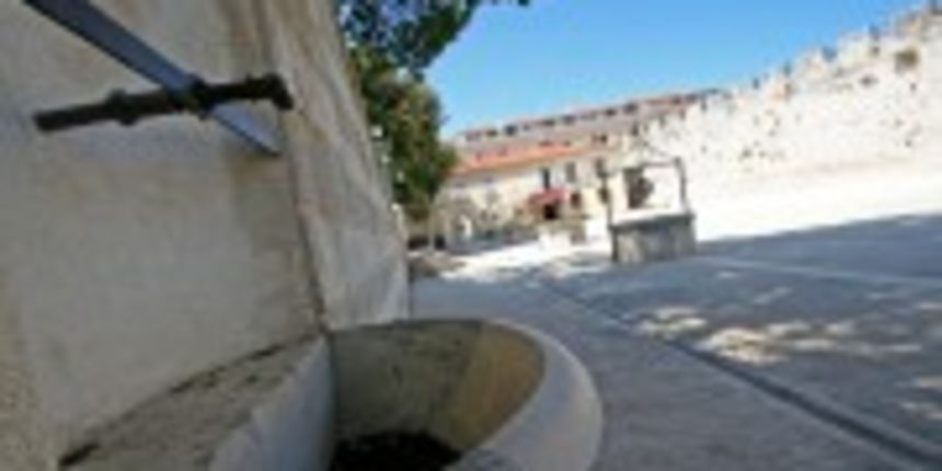 Image 1200073 (auto)