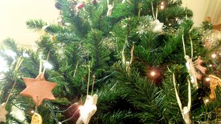 OLYMPUS DIGITAL CAMERA OLYMPUS DIGITAL CAMERA