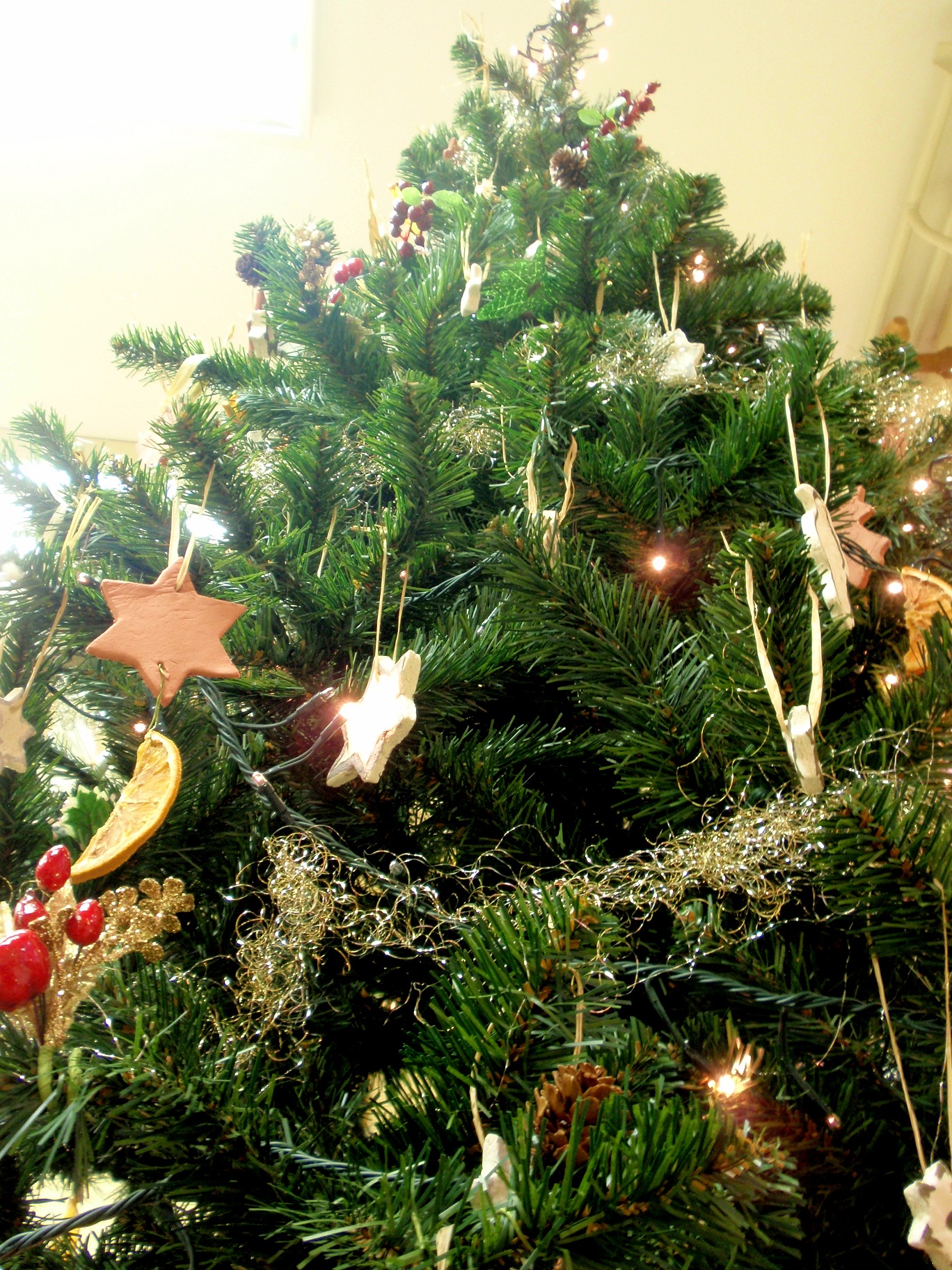 OLYMPUS DIGITAL CAMERA OLYMPUS DIGITAL CAMERA