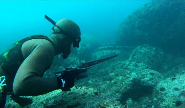 Dive in Fest, podvodni ribolov,foto: www.youtube.com