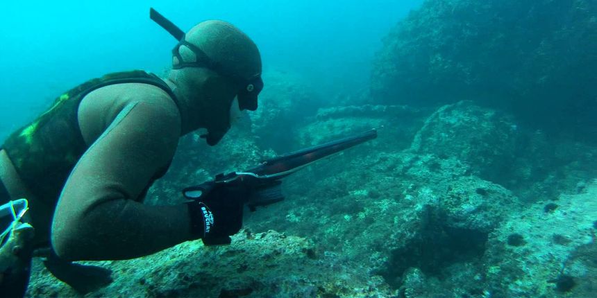 Dive in Fest, podvodni ribolov,foto: www.youtube.com Dive in Fest, podvodni ribolov,foto: www.youtube.com