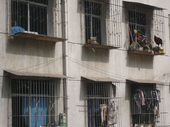 Putovanje u Kinu i Tibet (Foto:Iva Bur