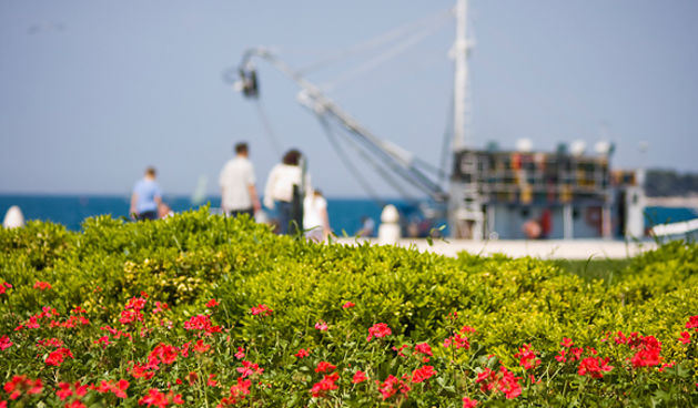 Đir po gradu 1. svibnja 2012. (foto:Saša Čuka)