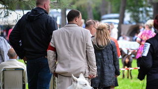 16. Međunarodna izložba pasa CACIB Zadar – Prvak prvaka 2016. 16. Međunarodna izložba pasa CACIB Zadar – Prvak prvaka 2016.