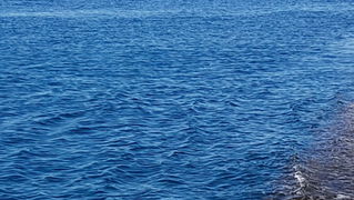 Zadarska Koka 2016. 22. listopada 2016. Foto: Mladen Malik Zadarska Koka 2016. 22. listopada 2016. Foto: Mladen Malik