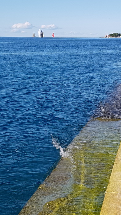 Zadarska Koka 2016. 22. listopada 2016. Foto: Mladen Malik Zadarska Koka 2016. 22. listopada 2016. Foto: Mladen Malik