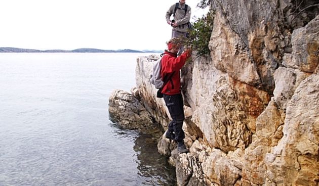 Pašmanski škraping (foto: skraping.blog.hr)