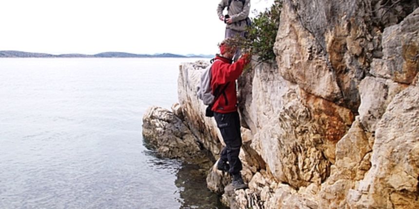 Pašmanski škraping (foto: skraping.blog.hr)