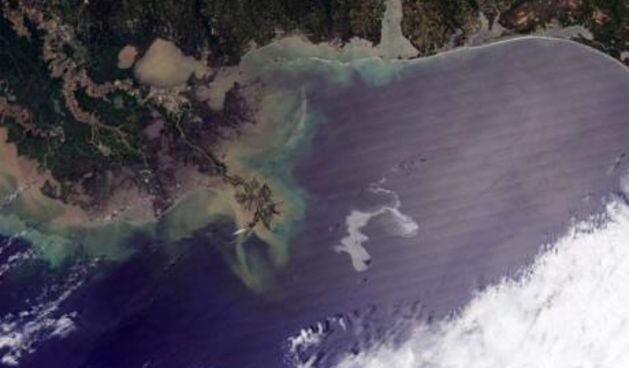 Naftna mrlja stigla do obale Louisiane (Foto: EPA)