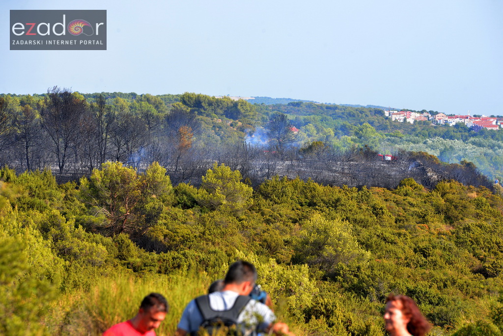 Zračne i kopnene vatrogasne snage u rekordnom roku lokalizirale požar između Dikla i Kožina