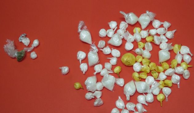 24-godišnjak uhvaćen s LSD-ijem i Speedom, foto: PU Zadarska