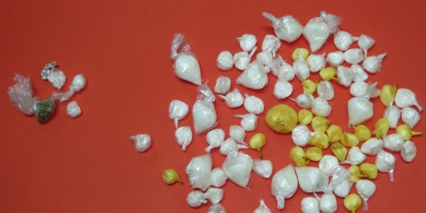 24-godišnjak uhvaćen s LSD-ijem i Speedom, foto: PU Zadarska 24-godišnjak uhvaćen s LSD-ijem i Speedom, foto: PU Zadarska