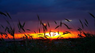 Čarobni zadarski svibanjski zalasci i sutoni, Foto: Čedo Kaica Čarobni zadarski svibanjski zalasci i sutoni, Foto: Čedo Kaica