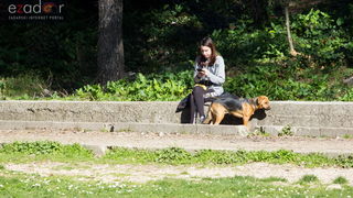Đir po gradu 3. ožujka 2017.