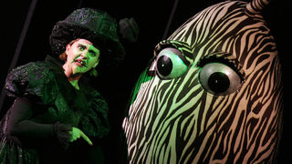 Čarobnjak iz Oza (foto: Marin Gospić)