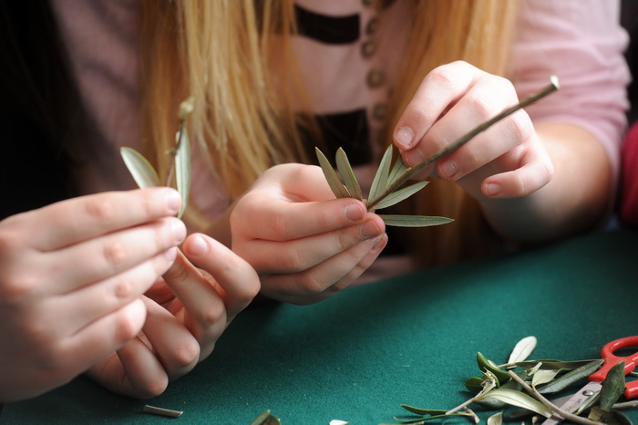 Zadar, 190313.
U prostoru gradske straze organizirana je radionica izrade maslinovih grancica za osnovnoskolce.
Na fotografiji: detalj s radionice.
Foto: Luka Gerlanc / CROPIX Zadar, 190313.
U prostoru gradske straze organizirana je radionica izrade maslinovih grancica za osnovnoskolce.
Na fotografiji: detalj s radionice.
Foto: Luka Gerlanc / CROPIX