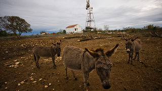 Farma “Dar-mar” (foto:Saša Čuka)