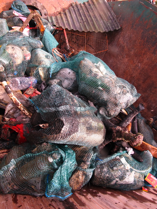 Biograd na Moru: Akcija ciscenja podmorja u uvali Jaz “Cistimo zajedno”