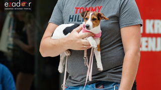 Đir po gradu, utorak 9. srpnja 2019. Đir po gradu, utorak 9. srpnja 2019.