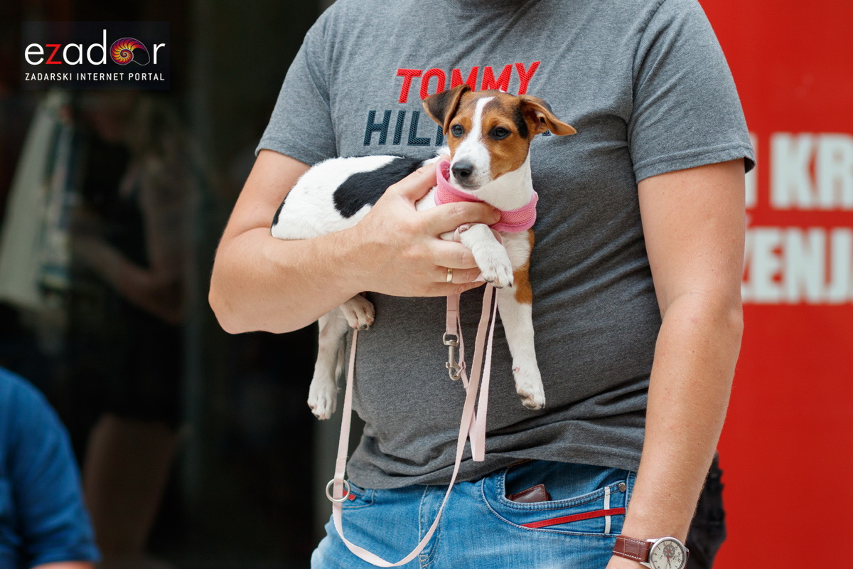 Đir po gradu, utorak 9. srpnja 2019. Đir po gradu, utorak 9. srpnja 2019.