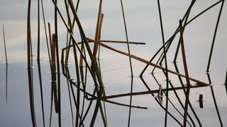 Đir uz Vransko jezero, Foto: Iva Perinić Đir uz Vransko jezero, Foto: Iva Perinić
