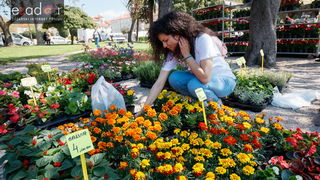 Đir po gradu, četvrtak 19. travnja 2018. Đir po gradu, četvrtak 19. travnja 2018.