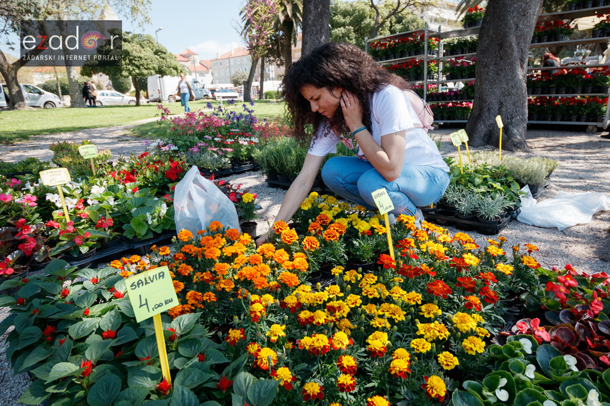 Đir po gradu, četvrtak 19. travnja 2018. Đir po gradu, četvrtak 19. travnja 2018.