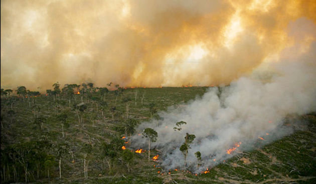 Deforestacija Amazonije (Foto: greenpeace.com)