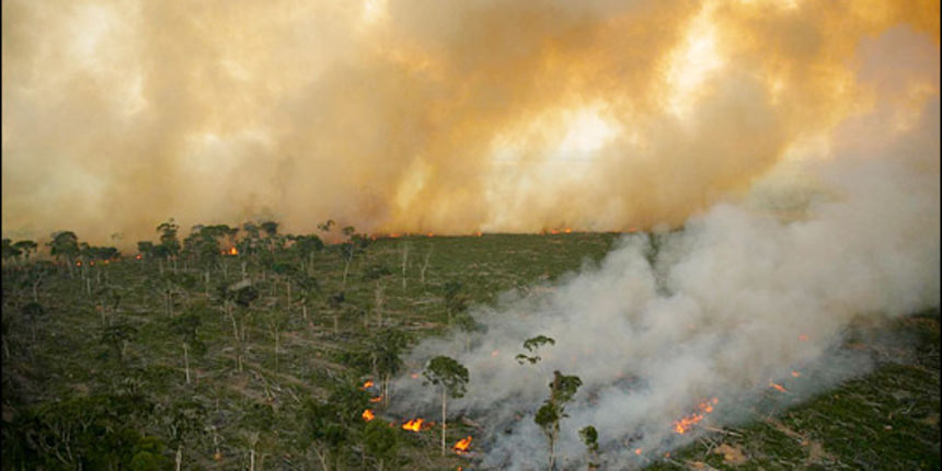 Deforestacija Amazonije (Foto: greenpeace.com)