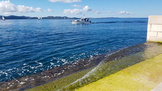 Zadarska Koka 2016. 22. listopada 2016. Foto: Mladen Malik Zadarska Koka 2016. 22. listopada 2016. Foto: Mladen Malik