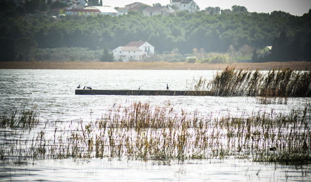 Vransko jezero: foto Iva Perinčić