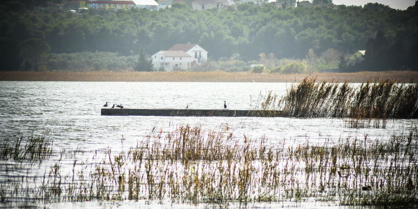 Vransko jezero: foto Iva Perinčić Vransko jezero: foto Iva Perinčić